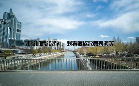 如参加藏族婚礼、观看藏族歌舞表演等