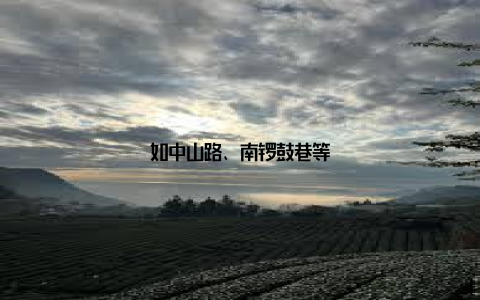 如中山路、南锣鼓巷等