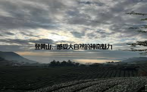 登黄山, 感受大自然的神奇魅力