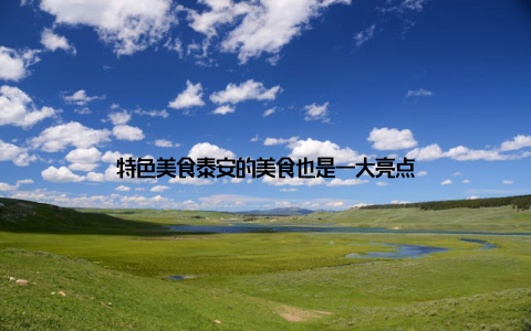 特色美食泰安的美食也是一大亮点