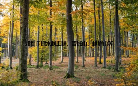 如都江堰水利工程、青城山、峨眉山等