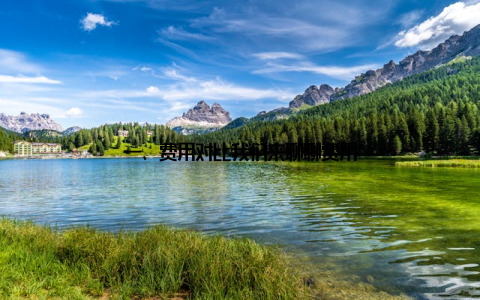 一、费用对比我们来聊聊费用