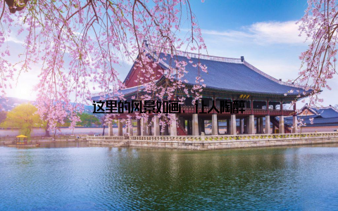 这里的风景如画, 让人陶醉