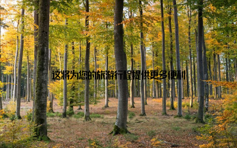 这将为您的旅游行程提供更多便利