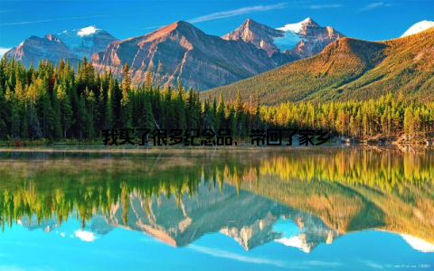 我买了很多纪念品, 带回了家乡