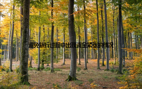 避免旅行过程中出现资金紧张的情况