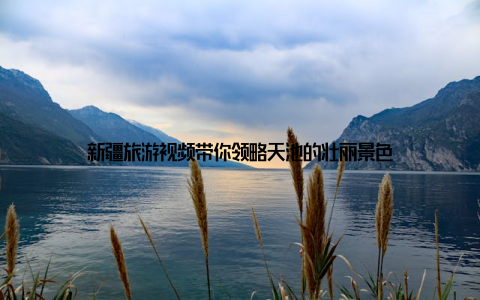 新疆旅游视频带你领略天池的壮丽景色