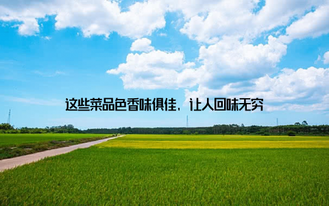 这些菜品色香味俱佳, 让人回味无穷