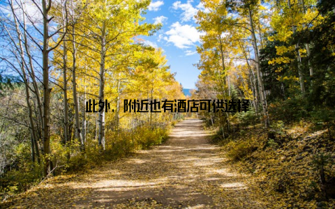 此外, 附近也有酒店可供选择