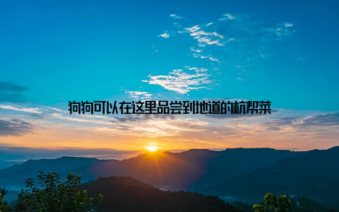 狗狗可以在这里品尝到地道的杭帮菜