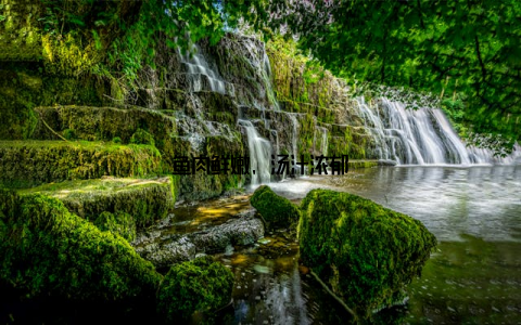 鱼肉鲜嫩, 汤汁浓郁