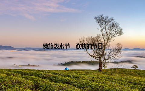 傣族泼水节, 欢快的节日