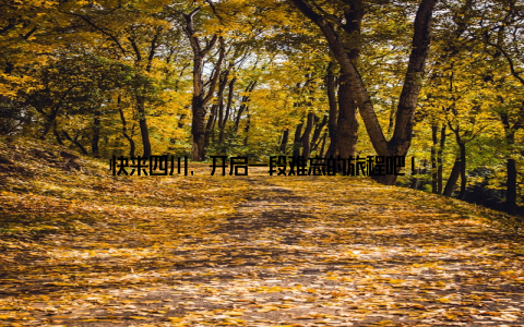 快来四川, 开启一段难忘的旅程吧!