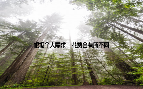 根据个人需求, 花费会有所不同