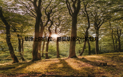 草原上的狂欢, 感受草原文化的魅力