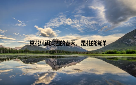 赏花休闲安吉的春天, 是花的海洋