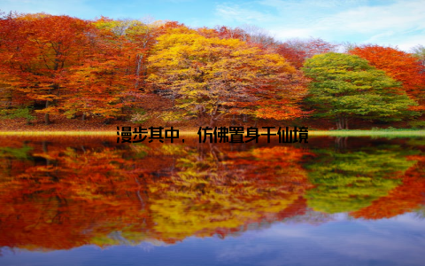 漫步其中, 仿佛置身于仙境