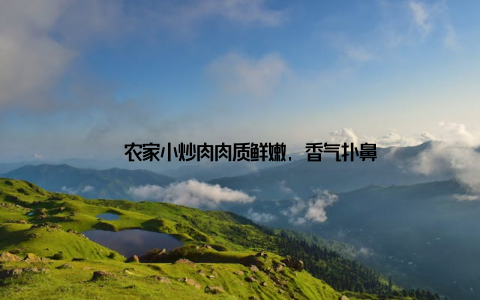 – 农家小炒肉肉质鲜嫩, 香气扑鼻