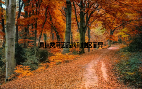 具体费用因品牌和地区而异