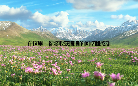 在这里, 你将收获满满的回忆和感动