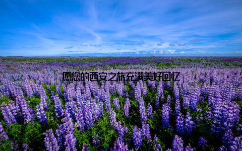 愿您的西安之旅充满美好回忆