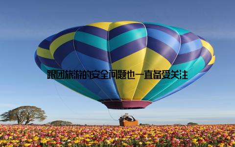 跟团旅游的安全问题也一直备受关注