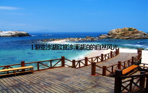 1游览沙湖欣赏沙漠湖泊的自然风光