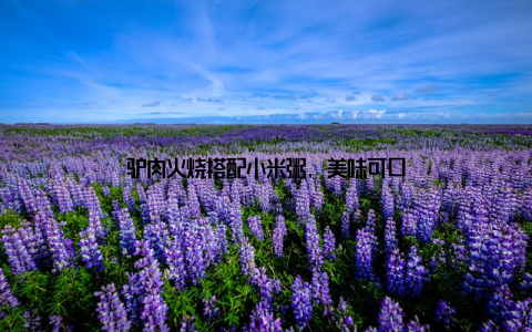 驴肉火烧搭配小米粥, 美味可口