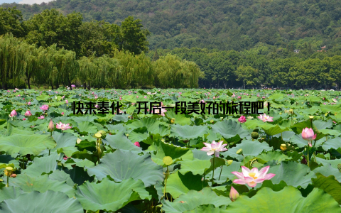 快来奉化, 开启一段美好的旅程吧!