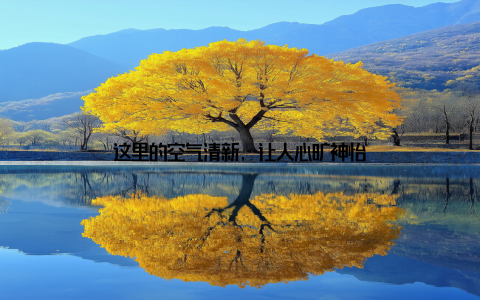 这里的空气清新, 让人心旷神怡