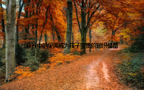 旅行中的见闻成为孩子宝贵的知识储备