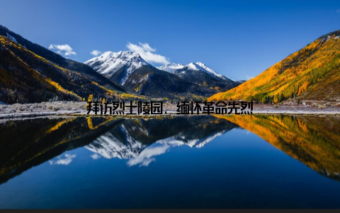 拜访烈士陵园, 缅怀革命先烈