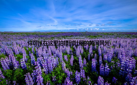 你可以在这里拍摄到壮丽的黄河风光