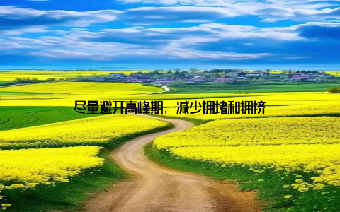 尽量避开高峰期, 减少拥堵和拥挤