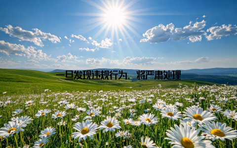 一旦发现违规行为, 将严肃处理