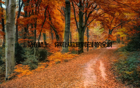 站在桥上, 你可以欣赏到宏村的全貌