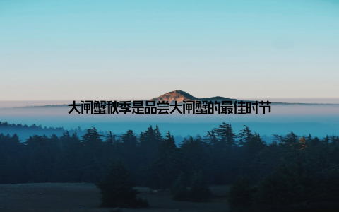 大闸蟹秋季是品尝大闸蟹的最佳时节