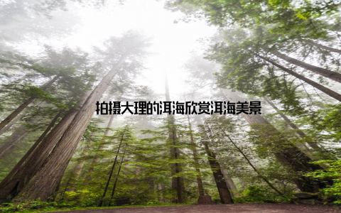 – 拍摄大理的洱海欣赏洱海美景