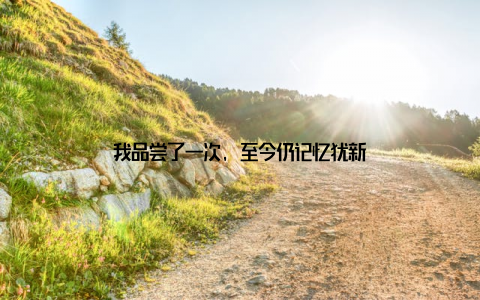 我品尝了一次, 至今仍记忆犹新