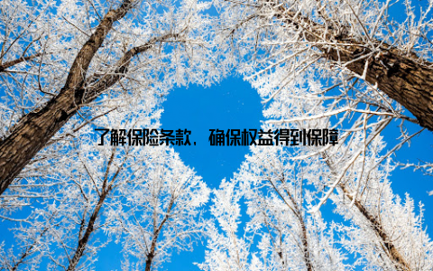 了解保险条款, 确保权益得到保障