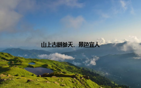 山上古树参天, 景色宜人