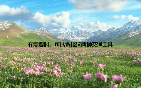 在需要时, 可以选择这两种交通工具