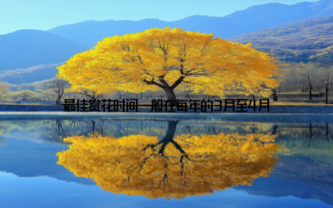 最佳赏花时间一般在每年的3月至4月