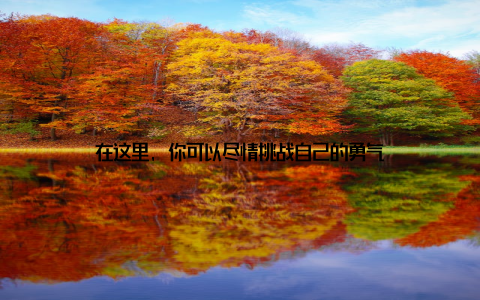 在这里, 你可以尽情挑战自己的勇气