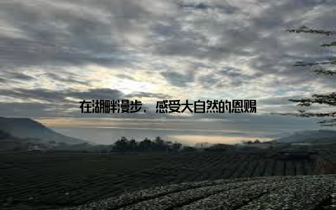 在湖畔漫步, 感受大自然的恩赐