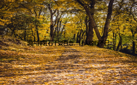 洞内钟乳石千姿百态, 让人惊叹不已