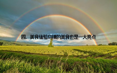 四、美食体验乌镇的美食也是一大亮点