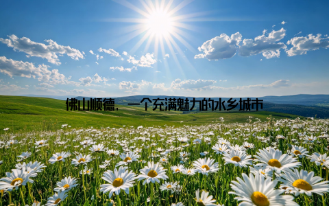 佛山顺德, 一个充满魅力的水乡城市