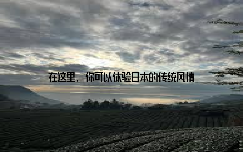 在这里, 你可以体验日本的传统风情